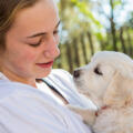 CBD for Pets in Georgia: A Safe, Vet-Informed Guide for Dog and Cat Owners